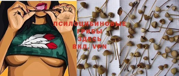 первитин Абаза