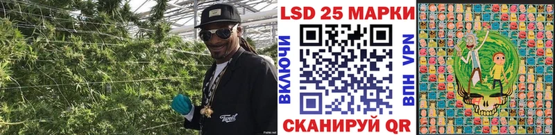 наркота  KRAKEN как войти  Марки 25I-NBOMe 1,8мг  Ачхой-Мартан 