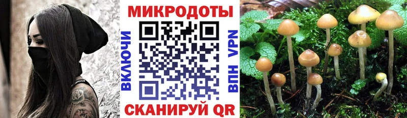 Псилоцибиновые грибы Psilocybe МЕГА маркетплейс Ачхой-Мартан